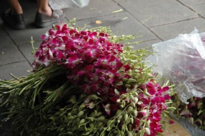 COMERCIO - FLOR (1)